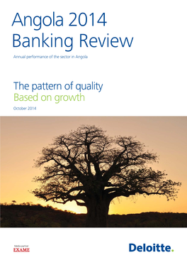Angola 2014 Banking Review Annual Performance of the Sector in Angola