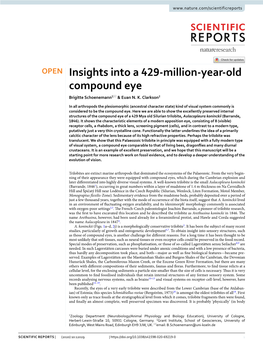 Insights Into a 429-Million-Year-Old Compound