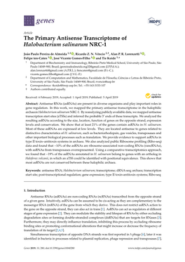 The Primary Antisense Transcriptome of Halobacterium Salinarum NRC-1