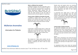 Müllerian Anomalies