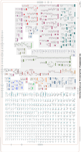 Generated by SRI International Pathway Tools Version 25.0 on Sat