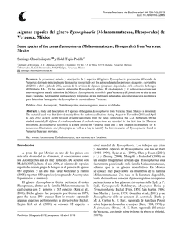 Algunas Especies Del Género Byssosphaeria (Melanommataceae, Pleosporales) De Veracruz, México