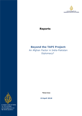 Reports Beyond the TAPI Project