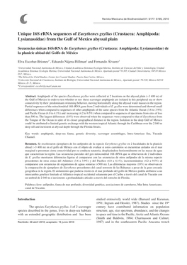 Unique 16S Rrna Sequences of Eurythenes Gryllus (Crustacea: Amphipoda: Lysianassidae) from the Gulf of Mexico Abyssal Plain