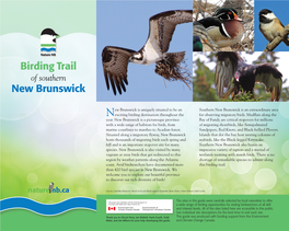 Birding Trail New Brunswick