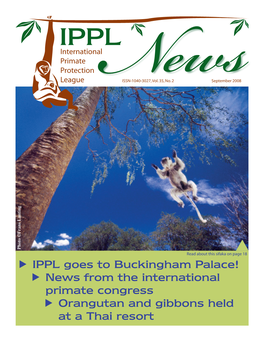 News from the International Primate Congress Orangutan and Gibbons Held at a Thai Resort