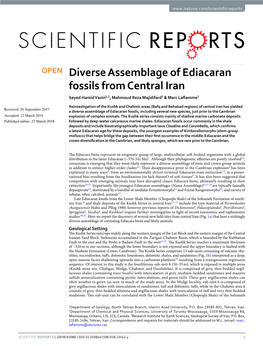 Diverse Assemblage of Ediacaran Fossils from Central Iran Seyed Hamid Vaziri1,2, Mahmoud Reza Majidifard3 & Marc Lafamme2