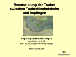 Renaturierung Der Tauber Zwischen Tauberbischofsheim Und Impfingen