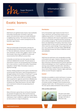 Exotic Borers