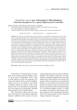 Holopothrips Chaconi Sp.N. (Thysanoptera: Phlaeothripinae) from Leaf-Vein Galls on Piper Species (Piperaceae) in Costa Rica