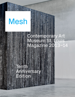 Tenth Anniversary Edition Contemporary Art Museum St