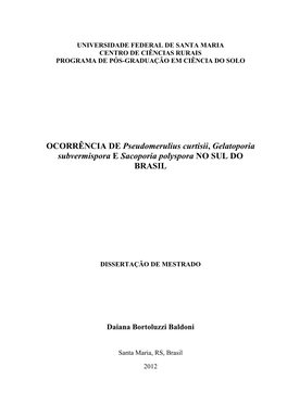 BALDONI, DIANA BORTOLUZZI.Pdf (2.100Mb)