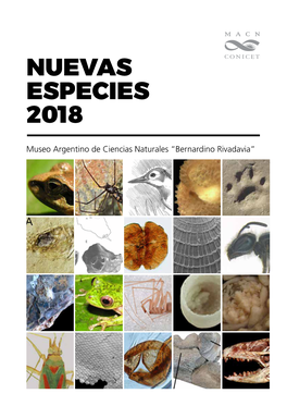 Nuevas Especies 2018