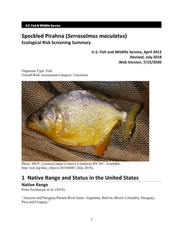 Speckled Pirahna (Serrasalmus Maculatus) Ecological Risk Screening Summary