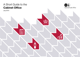 A Short Guide to the Cabinet Office July 2015 Overview Cabinet Office’S Cross-Government Other Cabinet Office Functional Leadership Role Key Delivery Areas