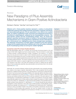 New Paradigms of Pilus Assembly Mechanisms in Gram-Positive Actinobacteria