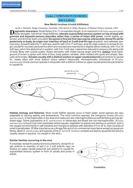 Order CYPRINODONTIFORMES RIVULIDAE New World Rivulines (Rivulid Killifishes) by M.J