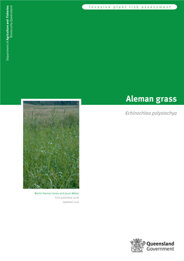 Aleman Grass (Echinochloa Polystachya)