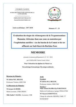 Evaluation Du Risque De Réémergence De La Trypanosomiase Humaine Africaine Dans Une Zone En Mutation Par L'exploitation Auri