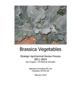 Brassica Vegetables