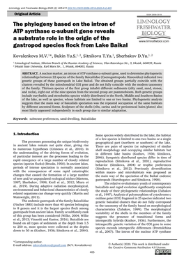 The Phylogeny Based on the Intron of ATP Synthase Α-Subunit Gene Reveals a Substrate Role in the Origin of the Gastropod Species Flock from Lake Baikal