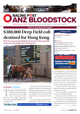 380000 Deep Field Colt Destined for Hong Kong