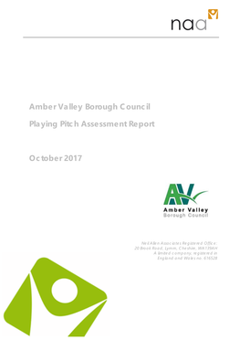 Playing Pitch Assessment Report