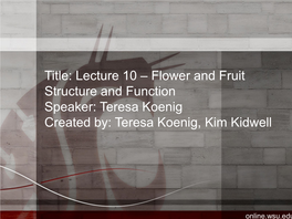 Flower and Fruit Structure and Function Speaker: Teresa Koenig Created By: Teresa Koenig, Kim Kidwell