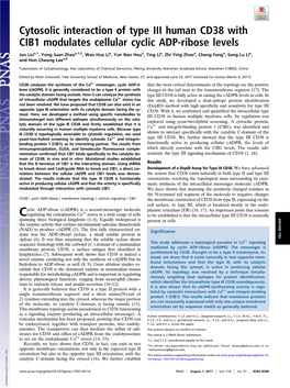 Cytosolic Interaction of Type III Human CD38 with CIB1 Modulates Cellular Cyclic ADP-Ribose Levels