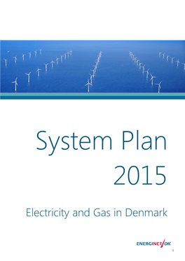 Electricity and Gas in Denmark