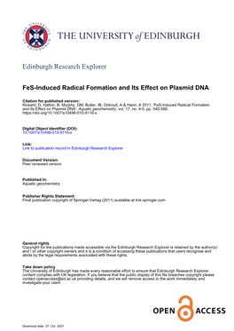 Fes-Induced Radical Formation and Its Effect on Plasmid DNA