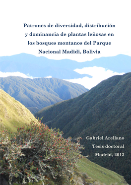 Patrones De Diversidad, Distribución Y Dominancia De Plantas Leñosas En Los Bosques Montanos Del Parque Nacional Madidi, Bolivia