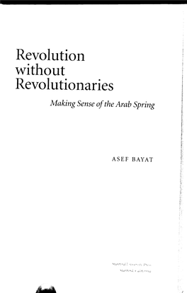 Revolution Without Revolutionaries Making Sense of the Arab Spring