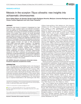 Meiosis in the Scorpion Tityus Silvestris: New Insights Into