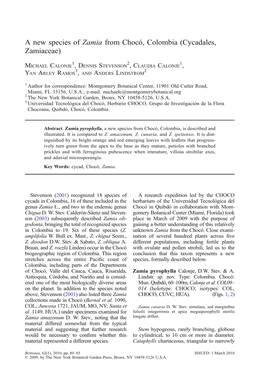 A New Species of Zamia from Chocó, Colombia (Cycadales, Zamiaceae)