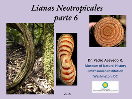 Lianas Neotropicales, Parte 6