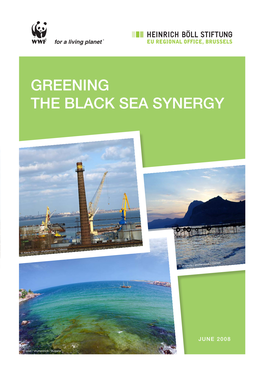 Greening the Black Sea Synergy