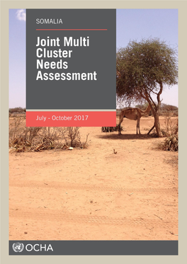 Somalia Joint Multi-Cluster Needs Assessment – October 2017