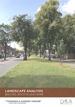 3Bs Landscape Analysis