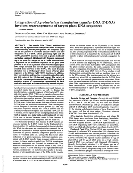 Integration of Agrobacterium Tumefaciens Transfer DNA (T-DNA)