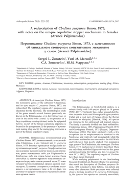 A Redescription of Chedima Purpurea Simon, 1873, with Notes on the Unique Copulative Stopper Mechanism in Females (Aranei: Palpimanidae)