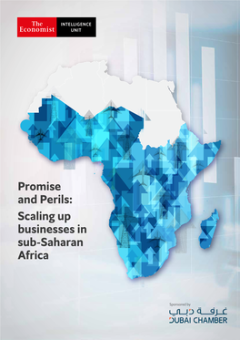 Promise and Perils: Scaling up Businesses in Sub-Saharan Africa