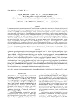 Petiole Vascular Bundles and Its Taxonomic Value in the Tribe