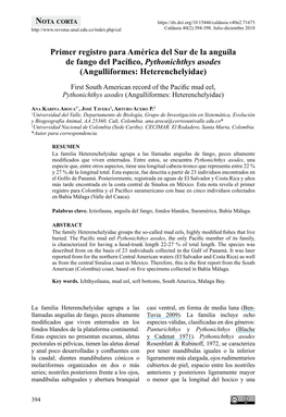 Primer Registro Para América Del Sur De La Anguila De Fango Del Pacífico, Pythonichthys Asodes (Angulliformes: Heterenchelyidae)