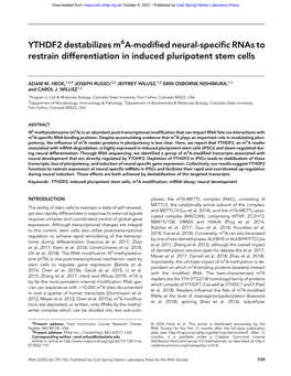 YTHDF2 Destabilizes M6a-Modified Neural-Specific Rnas to Restrain Differentiation in Induced Pluripotent Stem Cells