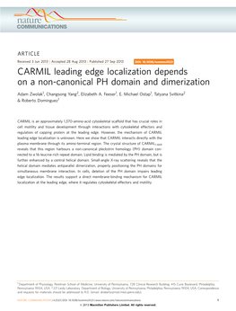 CARMIL Leading Edge Localization Depends on a Non-Canonical PH Domain and Dimerization