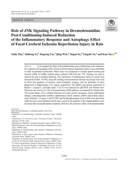 Role of JNK Signaling Pathway in Dexmedetomidine Post