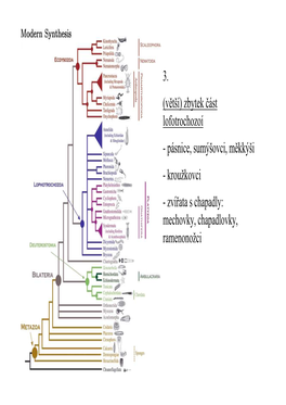 3. (Větší) Zbytek Část Lofotrochozoí
