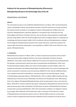 Evidence for the Presence of Rhamphorhynchus (Pterosauria: Rhamphorhynchinae) in the Kimmeridge Clay of the UK