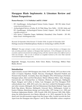 Harappan Blade Implements: a Literature Review and Future Perspectives